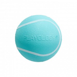 Playology  жевательный мяч SQUEAKY CHEW BALL 6 см для собак мелких и средних пород с пищалкой и с ароматом арахиса, цвет голубой