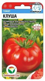 Томат Клуша/Сиб Сад/цп
