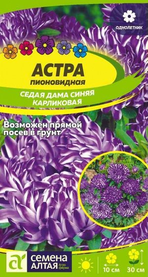 Цветы Астра Седая Дама Синяя карликовая 0,1 гр