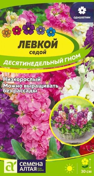 Левкой Десятинедельный гном седой 0,1 гр