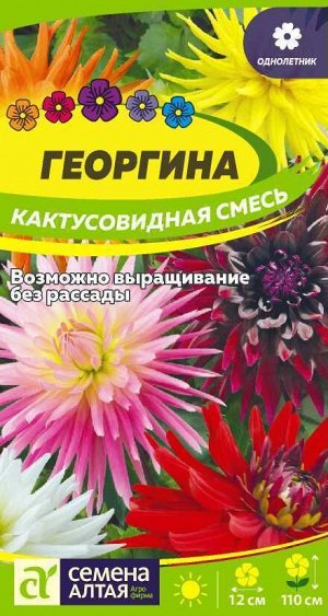 Цветы Георгина Кактусовидная смесь 0,1гр