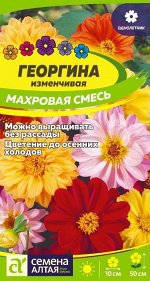 Цветы Георгина Махровая смесь окрасок 0,2 гр