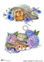 ANIMALS 27