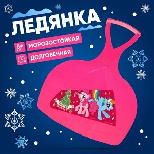 Соломон Ледянка My little pony Winter ponies