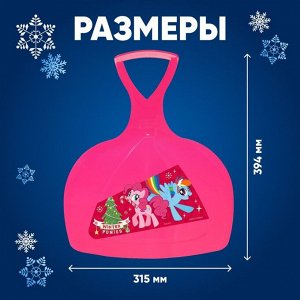 Соломон Ледянка My little pony Winter ponies