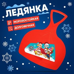 Соломон Ледянка Paw Patrol