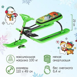Снегокат «Тимка спорт 2 Ми-ми-мишки», ТС2/ММ2, цвет зелёный/чёрный