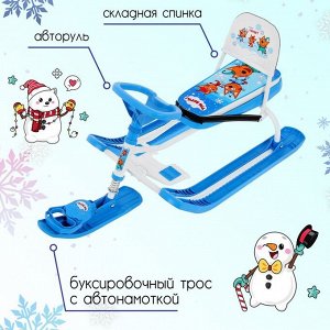 Снегокат «Тимка спорт 4-1 Три кота», ТС4-1/ТК, со спинкой и ремнём безопасности, цвет голубой/белый