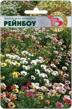 Хризантема килеватая смесь расцветок Рейнбоу