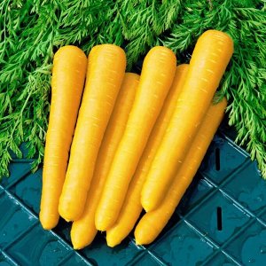 Морковь Желтая красавица