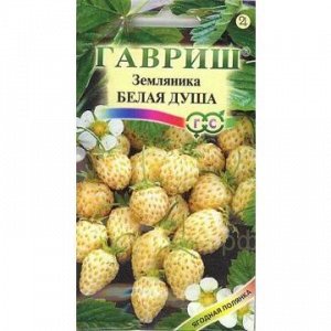 Земляника Белая душа (Гавр)