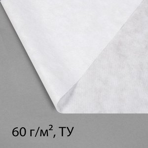 Материал укрывной, 10?1.6 м, плотность 60 г/м?, спанбонд с УФ-стабилизатором, белый, Greengo, Эконом 30%