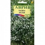 Гипсофила ползучая белая (Гавр)