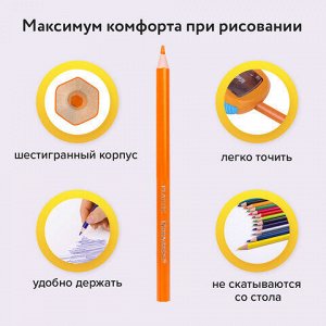 Карандаши цветные BRAUBERG PREMIUM, 12 цветов, пластиковые, шестигранные, грифель мягкий 3 мм, 181666