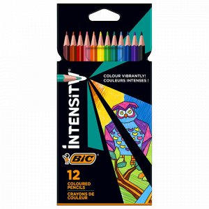 Карандаши цветные BIC "Intensity", 12 ЦВЕТОВ, трехгранные, пластиковые, европодвес, 9505272