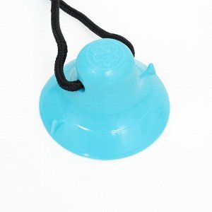 Игрушка для собак "Эллипсоид для лакомств на присоске", 40 х 9 см, голубая