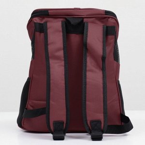 Рюкзак для переноски животных, 31,5 х 25 х 33 см, коричневый