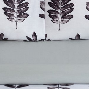 Постельное бельё  Этель 2 сп Natural print 175х215 см, 200х220 50х70 см -2 шт, мако-сатин