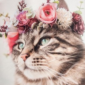 Набор подарочный Этель Flower cat: полотенце 40х73 см, лопатка