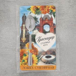 Ложка сувенирная «Краснодар», с гравировкой, 3 х 14 см