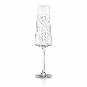 Набор бокалов для шампанского "Экстра", декор листья, 210 мл, 6 шт