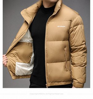 Куртка (пуховик) мужская без капюшона, боковые карманы на молнии,  ворот-стойка, цвет светло-коричневый