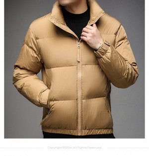 Куртка (пуховик) мужская без капюшона, боковые карманы на молнии,  ворот-стойка, цвет светло-коричневый