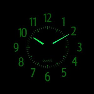 Часы настенные, серия: Интерьер, "Ходики", флуоресцентные, дискретный ход, 1АА, 24.5 х 24.5 см    92
