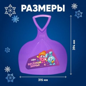 Ледянка «Весёлой зимы», Смешарики