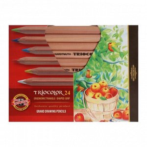 Карандаши утолщённые Triocolor, 24 цвета, трёхгранные
