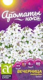 Вечерница Матроны Белая/Сем Алт/цп 0,2 гр. двулетник Ароматы ночи НОВИНКА
