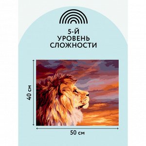 Картина по номерам на холсте ТРИ СОВЫ ""Закат"", 40*50, с акриловыми красками и кистями