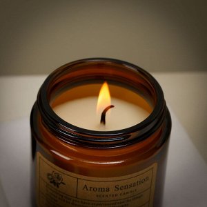 Свеча ароматическая в баночке Aroma Sensation. 100мл (Соевый воск)