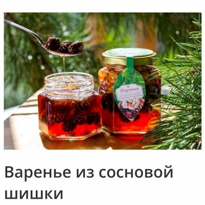 Варенье из сосновый шишки