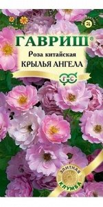 Роза Китайская Крылья Ангелов (Код: 13931)