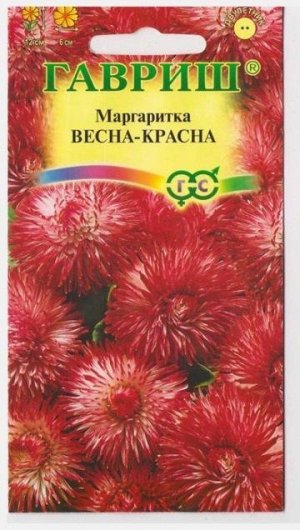 Маргаритка Весна-Красна (Код: 13033)