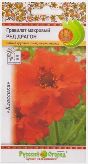 Гравилат махровый Ред Драгон (Код: 1862)
