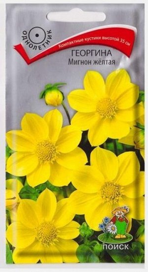 Георгина Мигнон Желтая (Код: 65819)