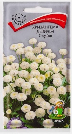 Хризантема Девичья Сноу Бол (Код: 65996)