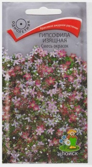 Гипсофила изящная Смесь окрасок (Код: 65932)
