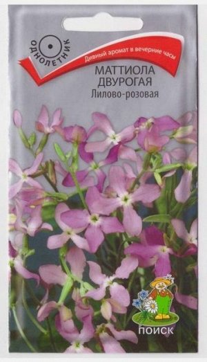 Маттиола Лилово-розовая двурогая (Код: 68870)