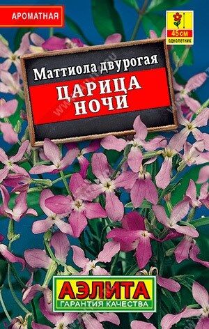 Маттиола Царица Ночи лидер (Код: 90345)