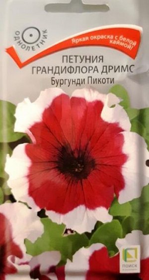 Петуния Дримс бургунди пикоти (Код: 85715)