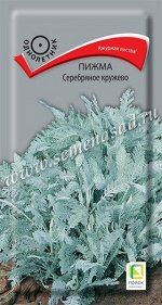 Пижма Серебряное Кружево (Код: 90602)
