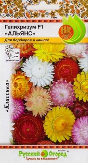 Гелихризум Альянс компактный (Код: 82971)