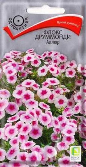 Флокс Аллюр (Код: 86363)