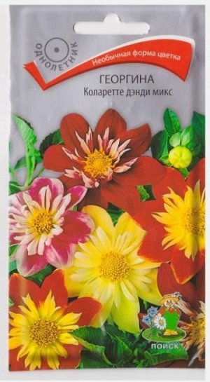 Георгина Коларетта Денди микс (Код: 14289)