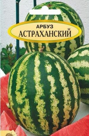 Астраханский 1г Традиция Г арбуз