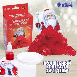 Выращивание кристаллов «Дед Мороз», красный, набор для творчества