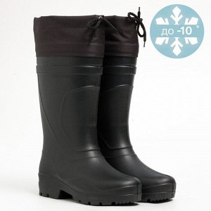Мужские сапоги Д31-НУ, цвет чёрный, –10 °C